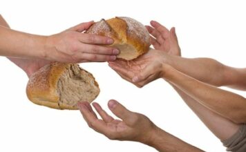 Domingo Divina Misericordia Conclusión 8va de Pascua 27/4/25