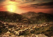 Martes IV Pascua PMAGS 13/5/25 Virgen de Fátima