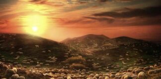 Martes IV Pascua PMAGS  13/5/25 Virgen de Fátima