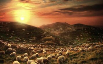 Martes IV Pascua PMAGS 13/5/25 Virgen de Fátima