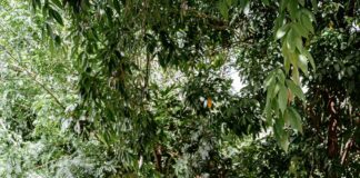 INEFI lleva alegría y materiales a escuela Ángel Marte Rosa