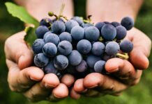 Viernes V Pascua 23/5/25