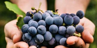 Viernes V Pascua 23/5/25