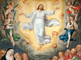 Domingo de la Ascención del Señor 1/6/25