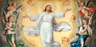 Domingo de la Ascención del Señor 1/6/25