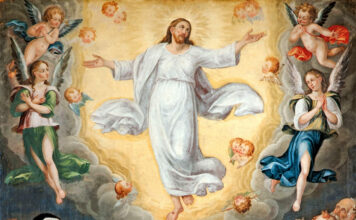 Domingo de la Ascención del Señor 1/6/25