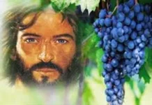 Miércoles V de Pascua 21/5/25