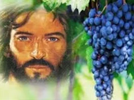 Miércoles V de Pascua 21/5/25