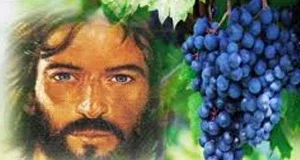 Miércoles V de Pascua     21/5/25