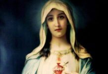 Inmaculado Corazón de María 28/6/25