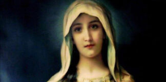 Inmaculado Corazón de María 28/6/25