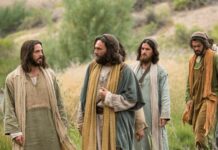 Domingo XII TO 22/6/25