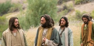 Domingo XII TO 22/6/25