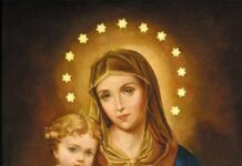 Immaculate Heart of Mary 6/28/25