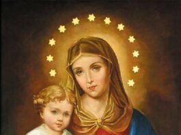 Immaculate Heart of Mary 6/28/25