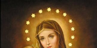 Immaculate Heart of Mary 6/28/25