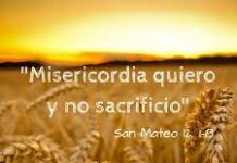 Viernes XV I 18/7/25