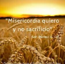 Viernes XV I 18/7/25