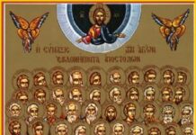 Domingo XIV TO 6/7/25