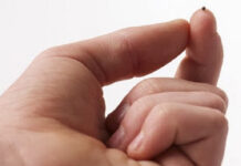 Lunes XVII TO I 28/7/25