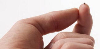 Lunes XVII TO I 28/7/25