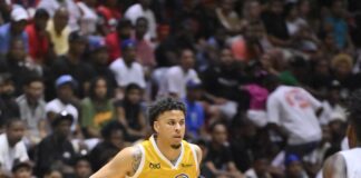 Metros se imponen a Titanes con triples de Silverio