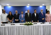 Subero Isa resalta experiencia de la Comisión del nuevo estadio