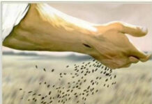 Miércoles XVI TO I 23/7/25