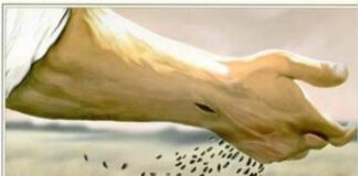 Miércoles XVI TO I 23/7/25