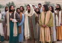 Jueves XIV TO 10/7/25