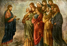 Lunes XV TO I 14/7/24