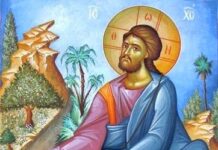 Jueves XVI TO I. 24/7/25