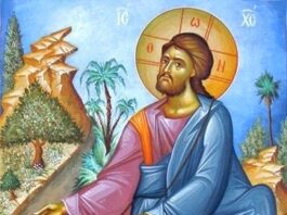 Jueves XVI TO I. 24/7/25