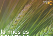 Martes XIV TO 8/7/25