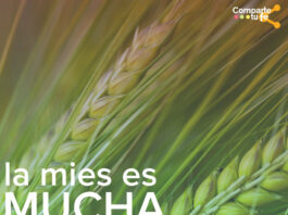 Martes XIV TO 8/7/25