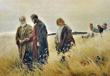 Sábado XX TO I I6/9/25