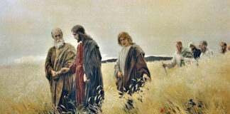 Sábado XX TO I I6/9/25