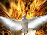 Domingo XX TO C 17/8/25