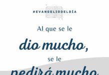 Domingo XIX TO C 10/8/25