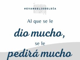 Domingo XIX TO C 10/8/25