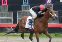 Colosal conquista el Clásico Juan Pablo Duarte y lidera la Triple Corona