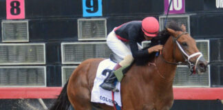 Colosal conquista el Clásico Juan Pablo Duarte y lidera la Triple Corona