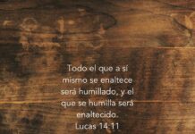 Domingo XXII TO C 31/8/25