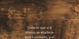 Domingo XXII TO C 31/8/25