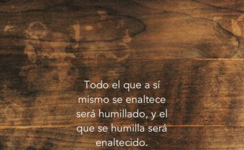 Domingo XXII TO C 31/8/25