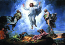 Transfiguración del Señor. 6/8/25