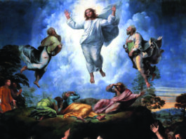 Transfiguración del Señor. 6/8/25