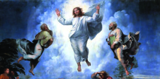 Transfiguración del Señor. 6/8/25