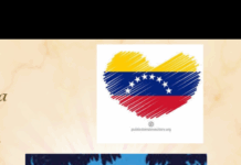 Jueves XXIII TO Año I 11/9/25