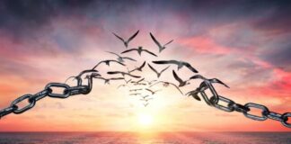 Domingo XXV TO Año C 21/9/25